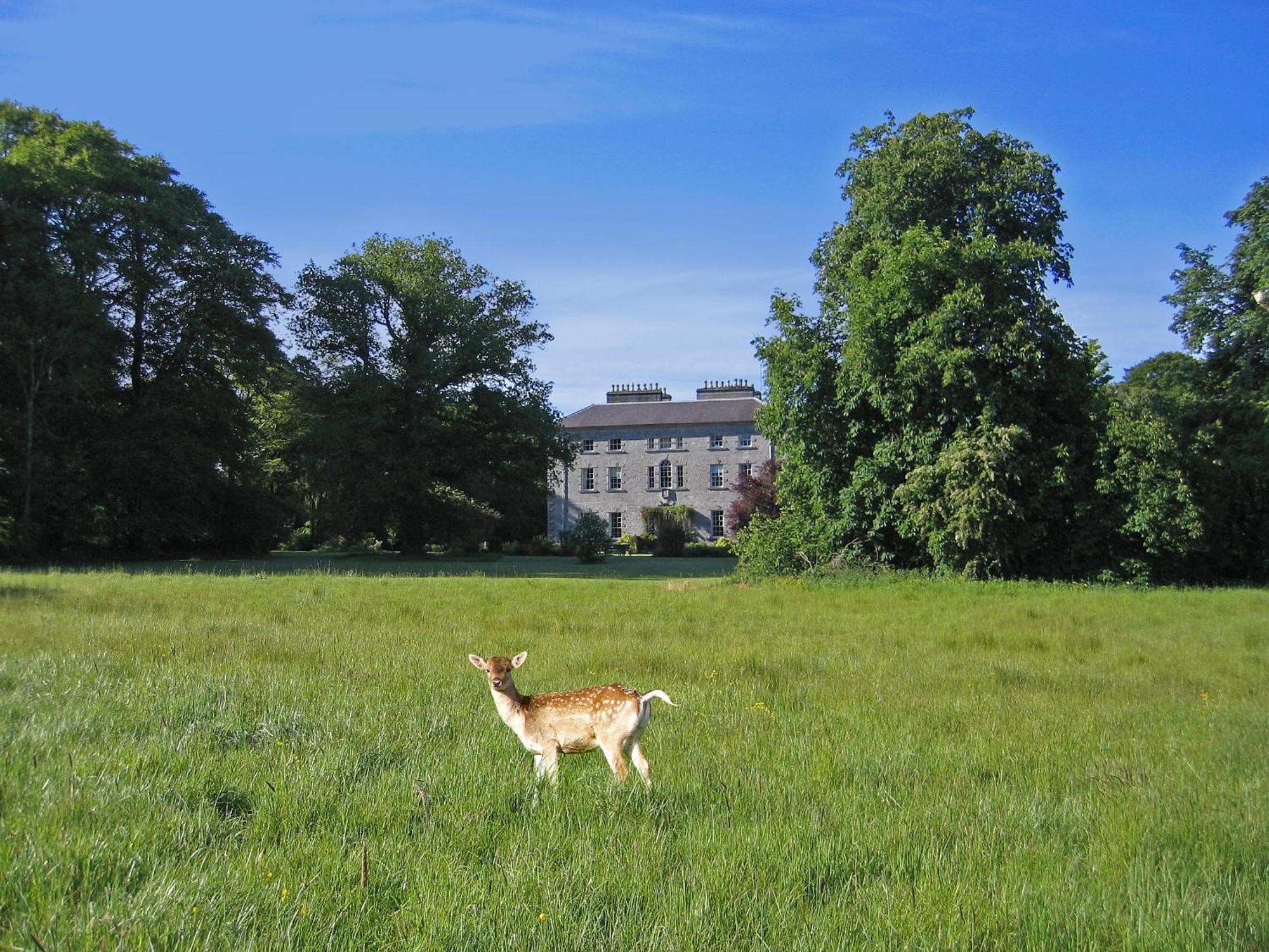 Coopershill House Hotell Riverstown  Exteriör bild