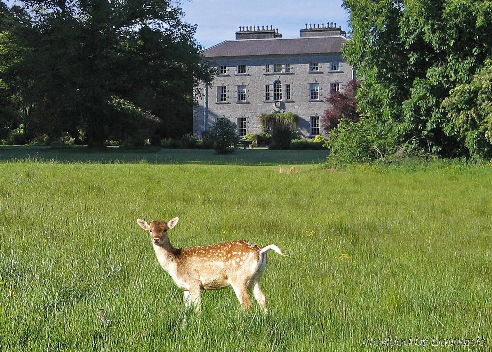 Coopershill House Hotell Riverstown  Exteriör bild